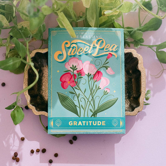 Sweet Pea—Floriography Seed Packet (Gratitude)