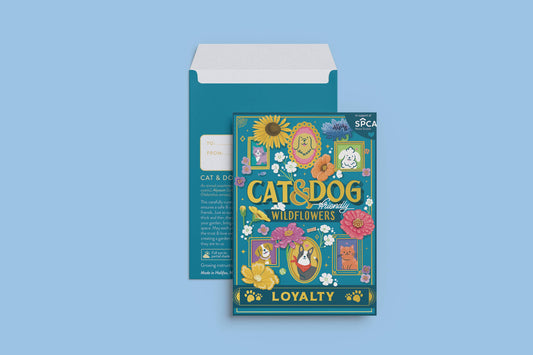Cat and Dog-Friendly Wildflowers (Loyalty)—Seed Packet