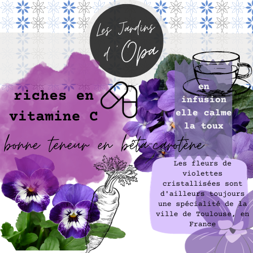 Edible Violet Flower Blend