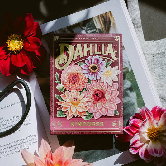 Dahlia (Kindness)—Floriography Seed Packet