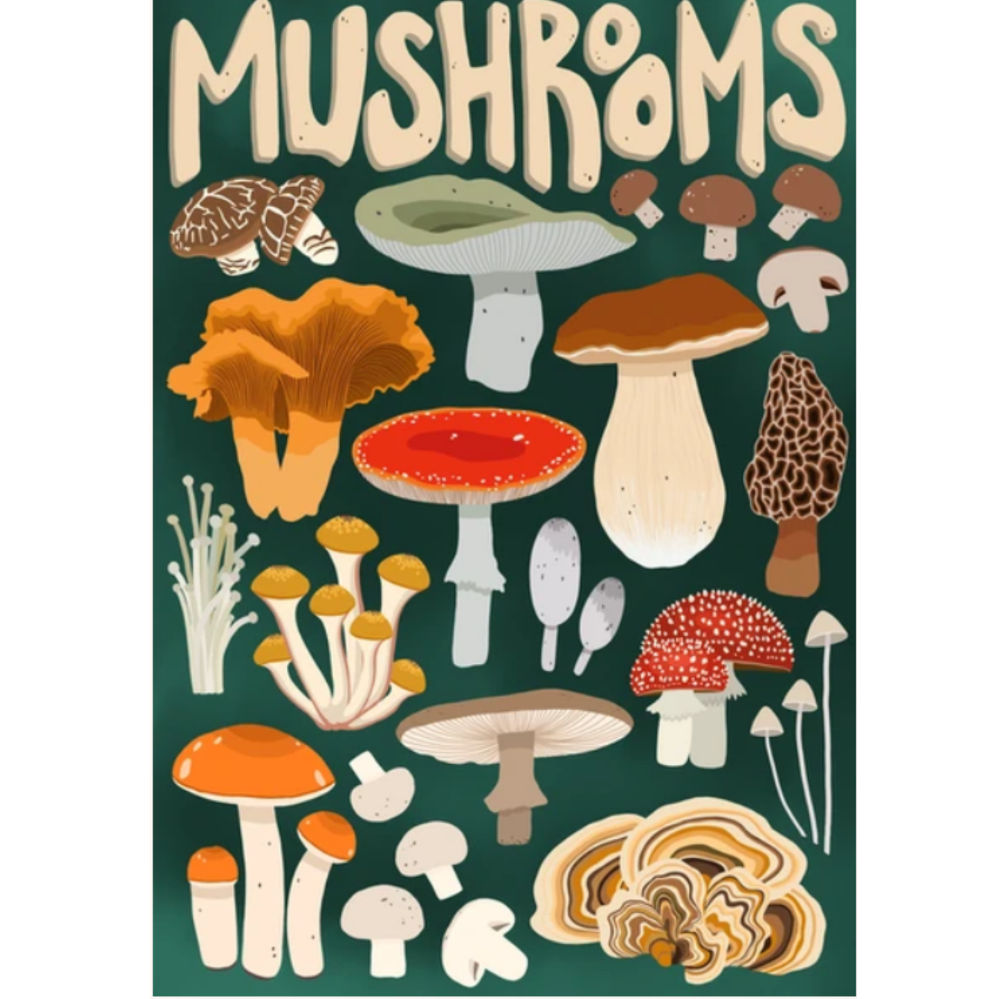 Mushroom Forager—1000-Piece Puzzle