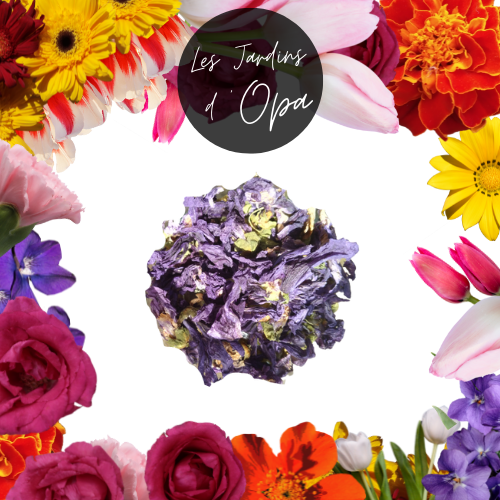 Edible Violet Flower Blend