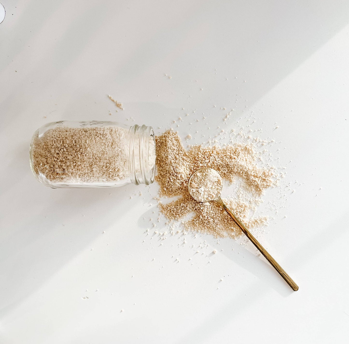 Dehydrated Sourdough Starter