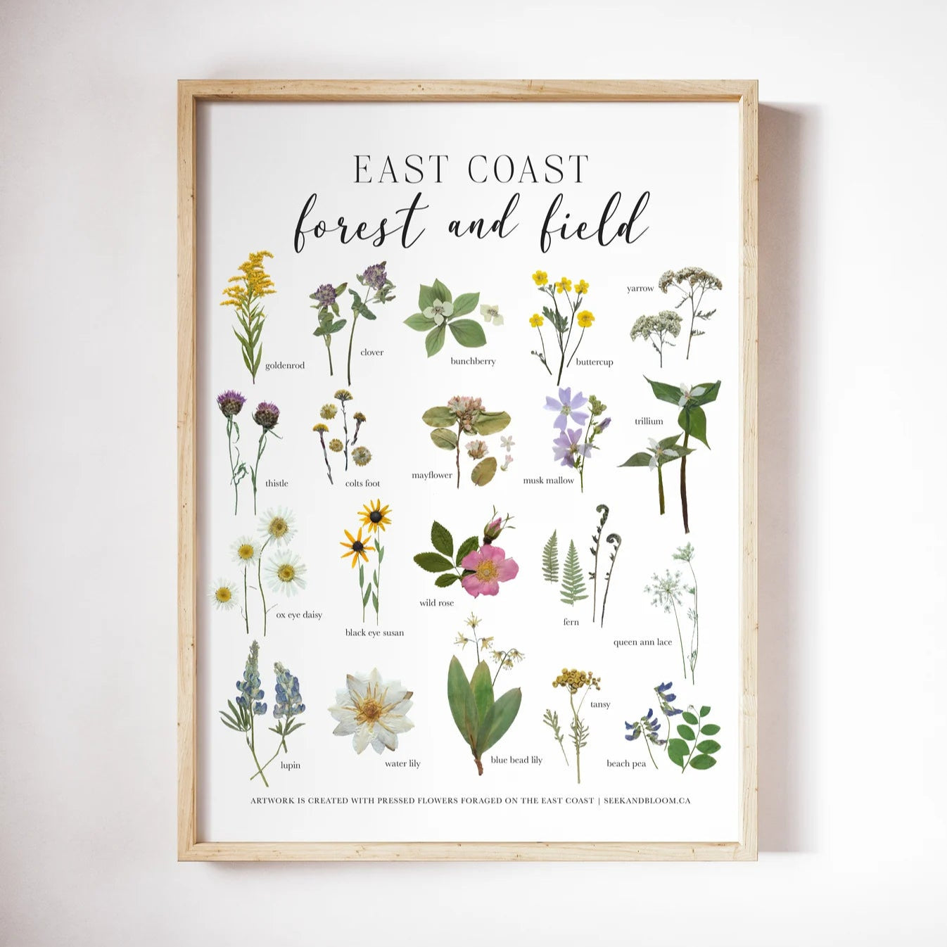 East Coast Forest & Field—Pressed Flower Wall Print