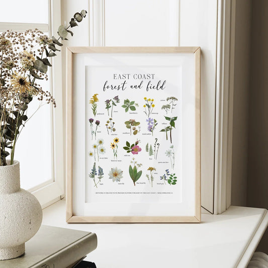 East Coast Forest & Field—Pressed Flower Wall Print