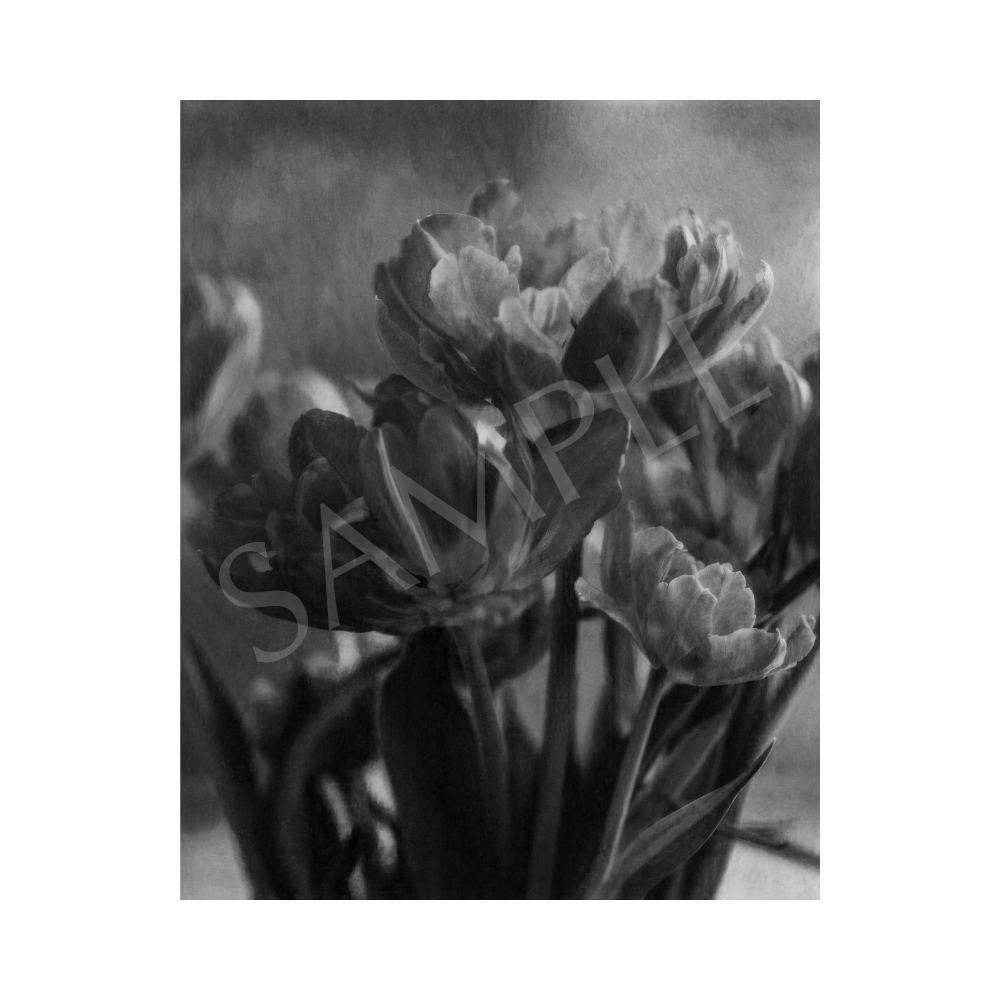 The Last Bloom Art Print—8x10