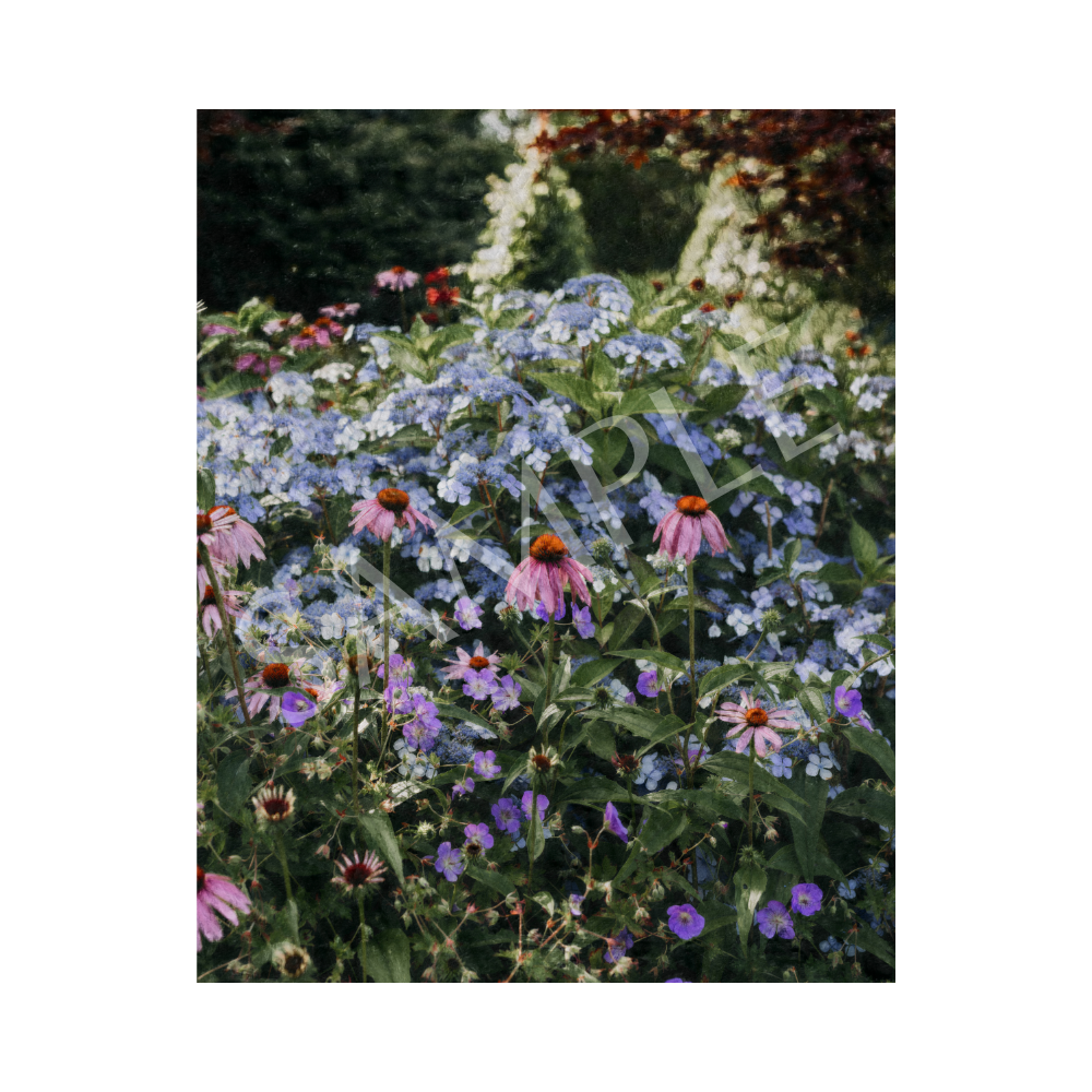 Gathering Colour Art Print—8x10