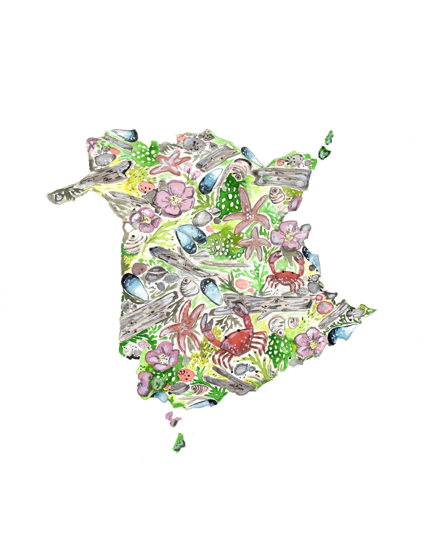 NB Shoreline—Greeting Card