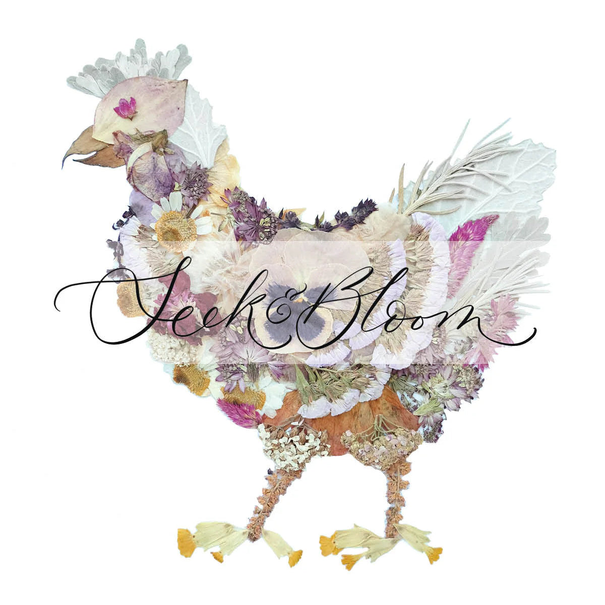 Chicken—Pressed Flower Wall Print