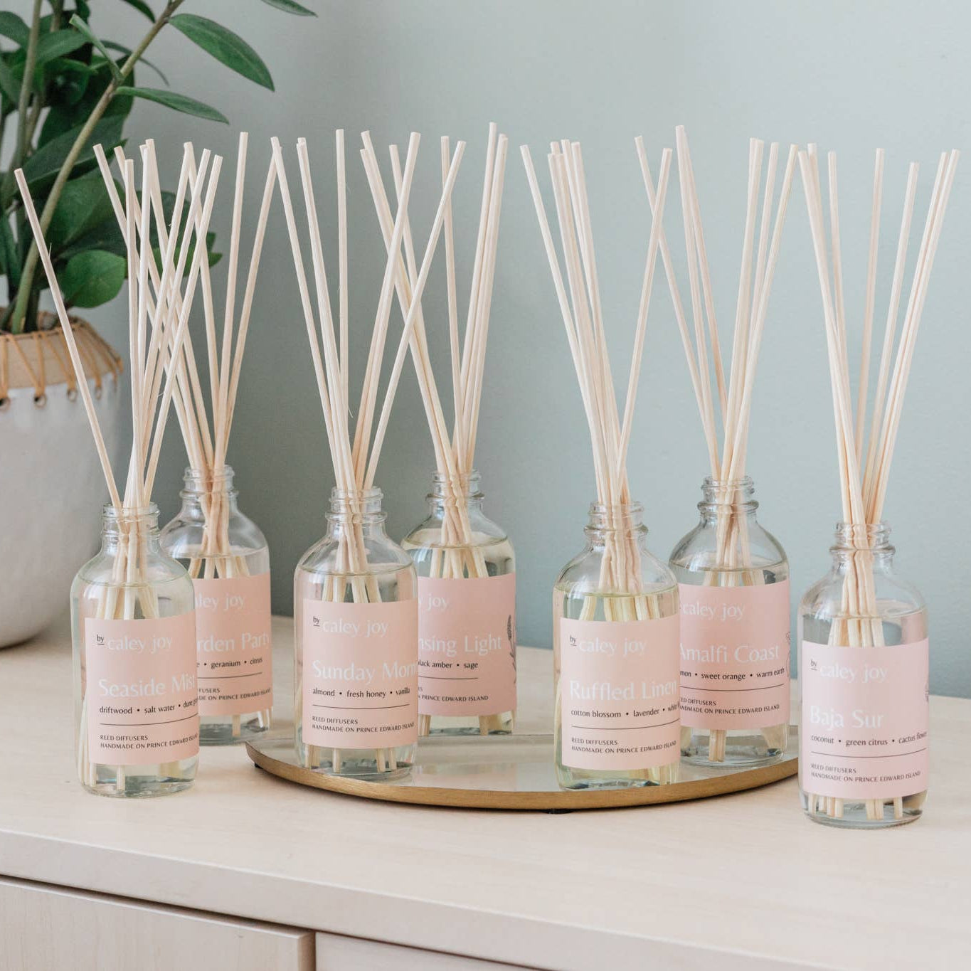 Baja Sur Reed Diffuser