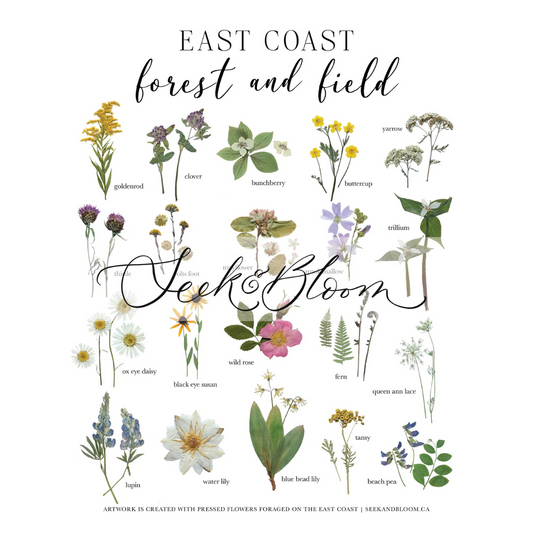 East Coast Forest & Field—Pressed Flower Wall Print