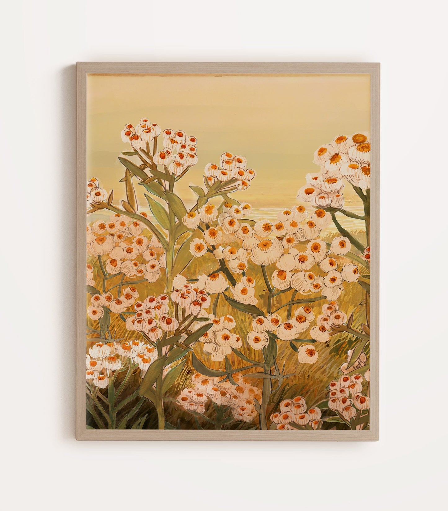 Pearly Everlasting - Art Print