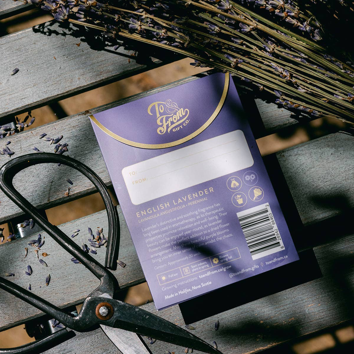 Lavender Seeds—Serenity