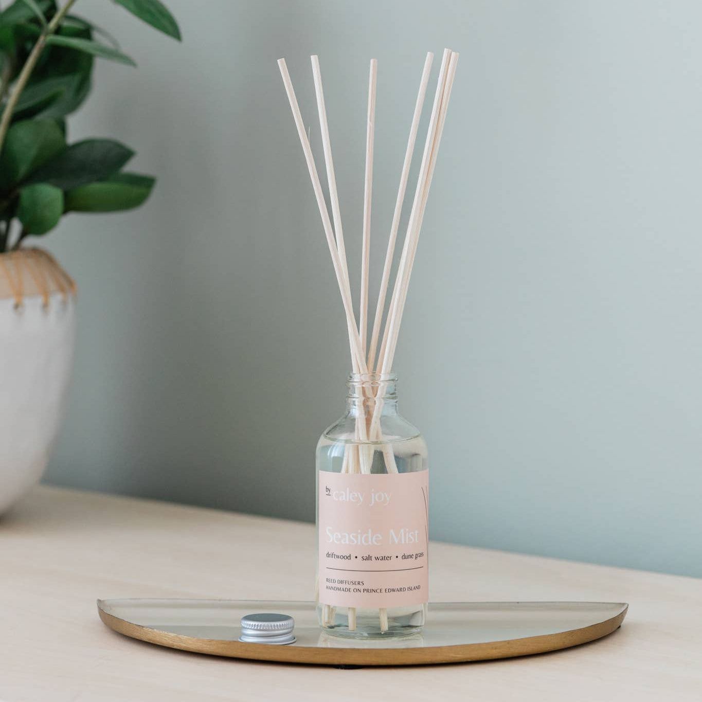 Seaside Mist Reed Diffuser