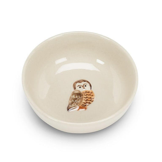 Owl on a Mini Bowl