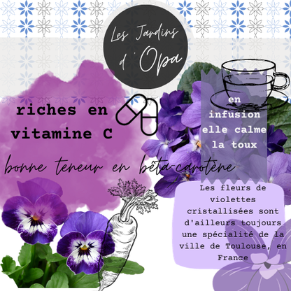 Edible Violet Flower Blend
