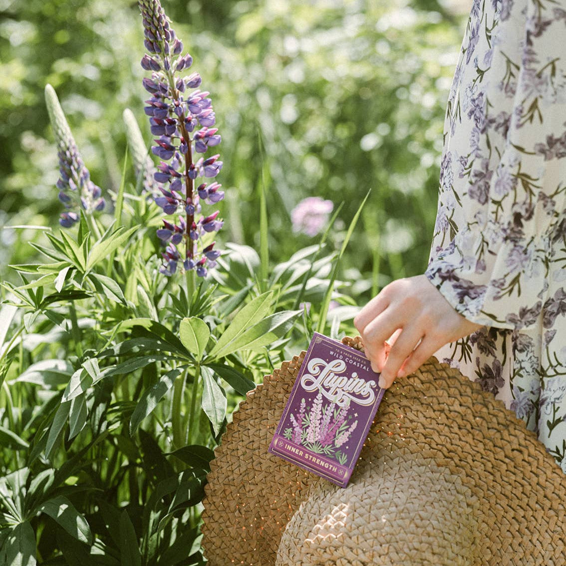 Wild Coastal Lupin Seed Packet – Inner Strength