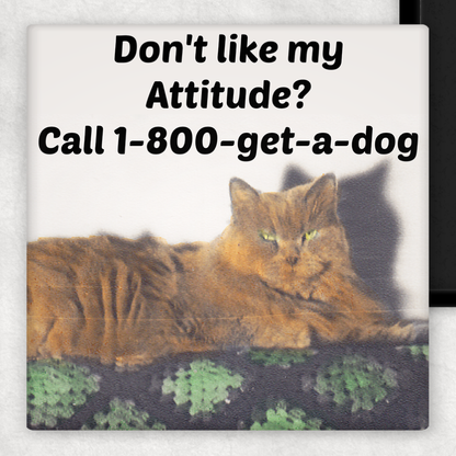 Magnet: Don't Like My Attitude? Call 1-800-get-a-dog.