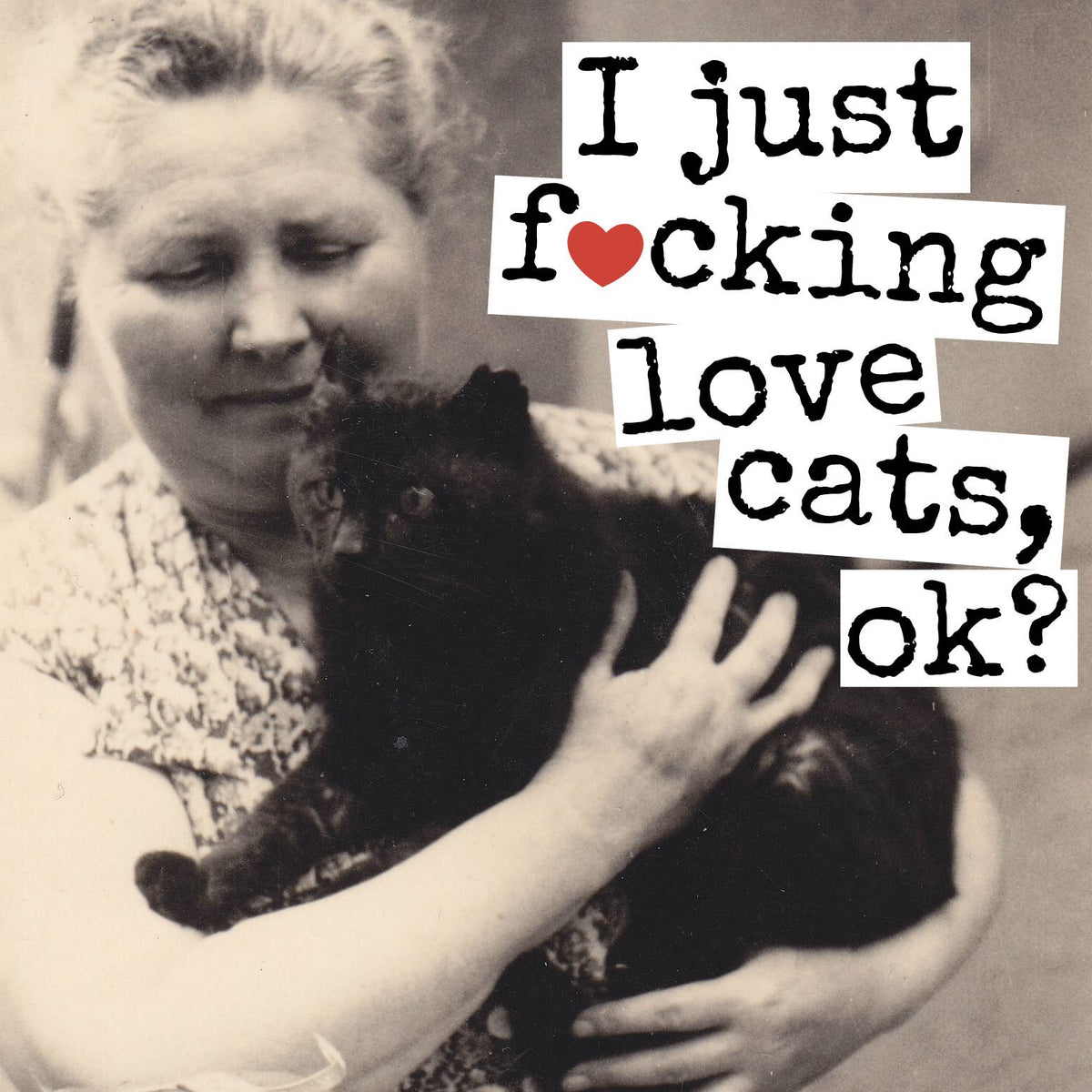 Magnet: I Just Fucking Love Cats