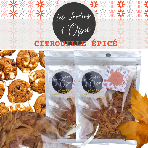Autumn Spice & Edible Flower Blend