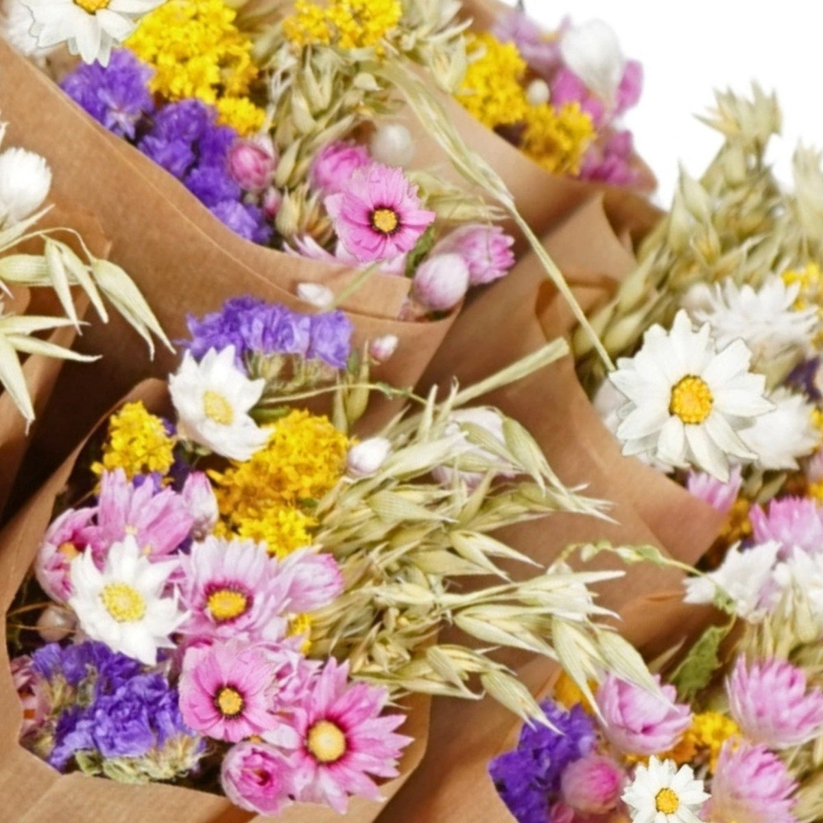 Dutch Market Dried Flower Bouquet