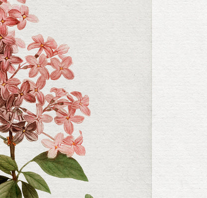 Vintage Botanical Art Print ll