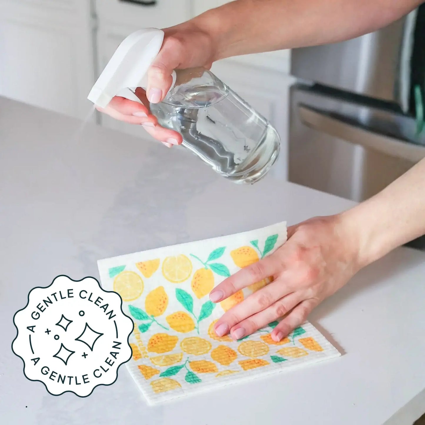 Sweet Citrus All-Purpose Cleaning Refill Tablets 2-Pack Box