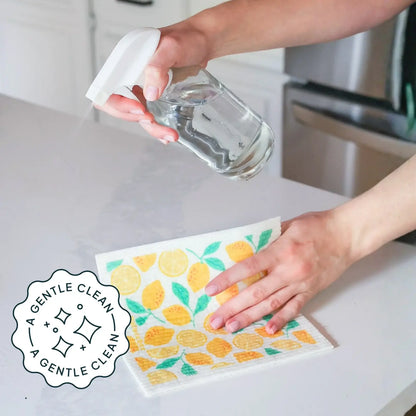 Sweet Citrus All-Purpose Cleaning Refill Tablets 2-Pack Box