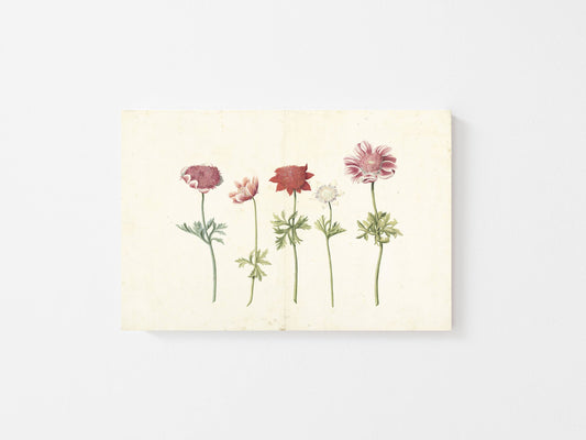 Spring Blooms Print