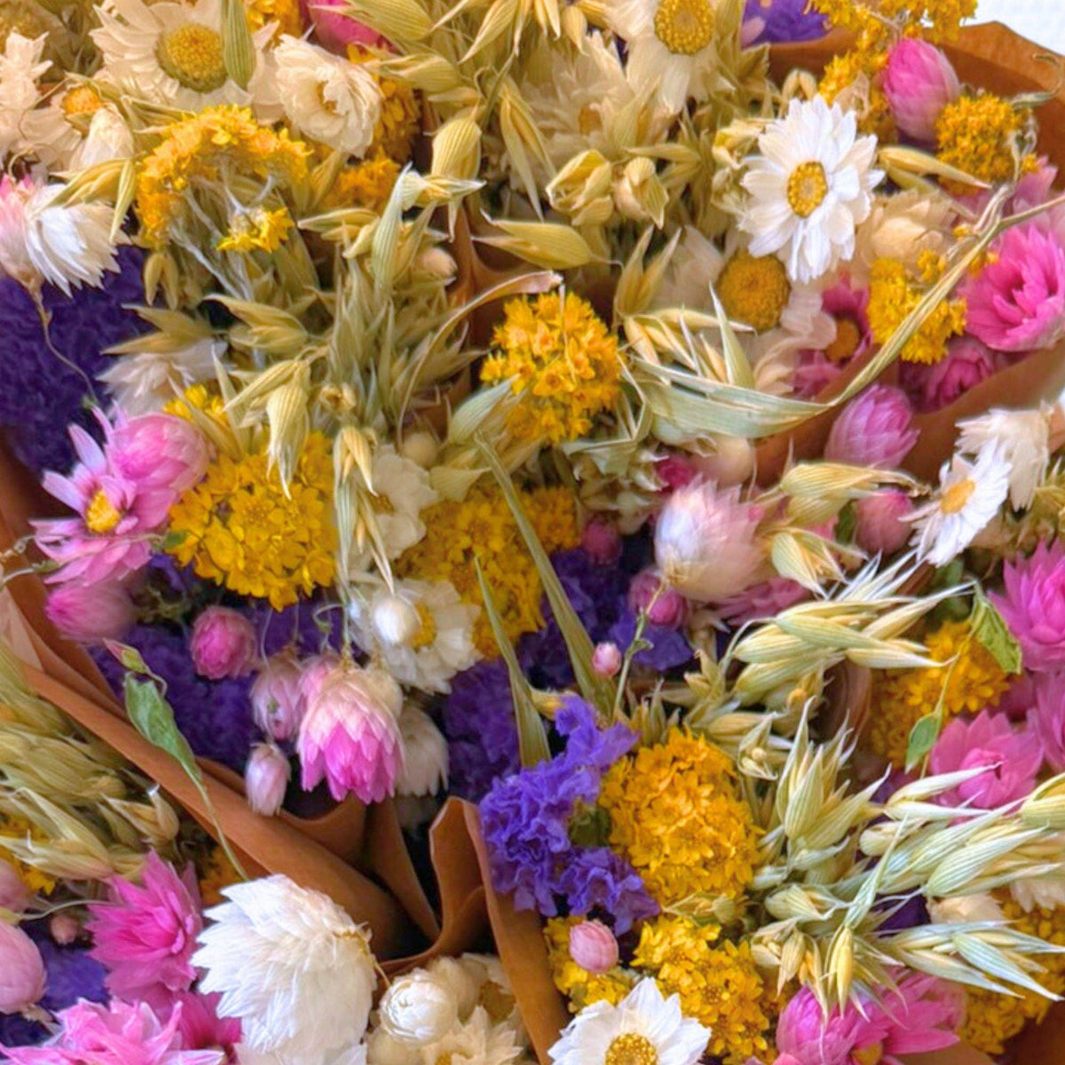 Dutch Market Dried Flower Bouquet