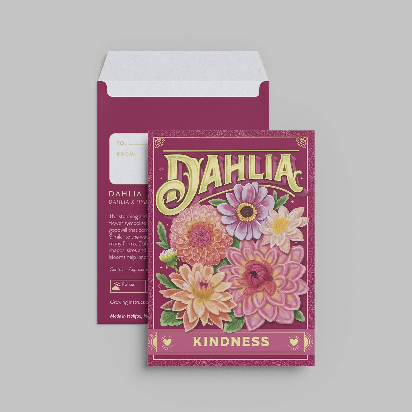 Dahlia (Kindness)—Floriography Seed Packet