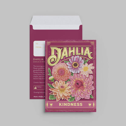 Dahlia (Kindness)—Floriography Seed Packet
