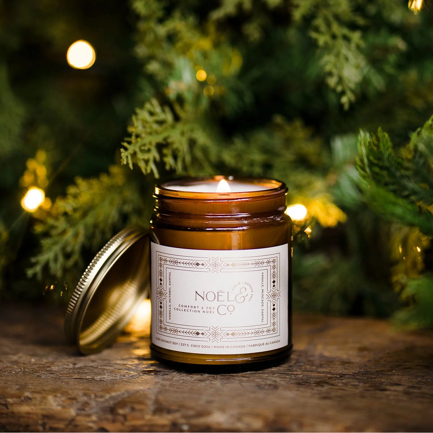 Comfort & Joy by Noel & Co.