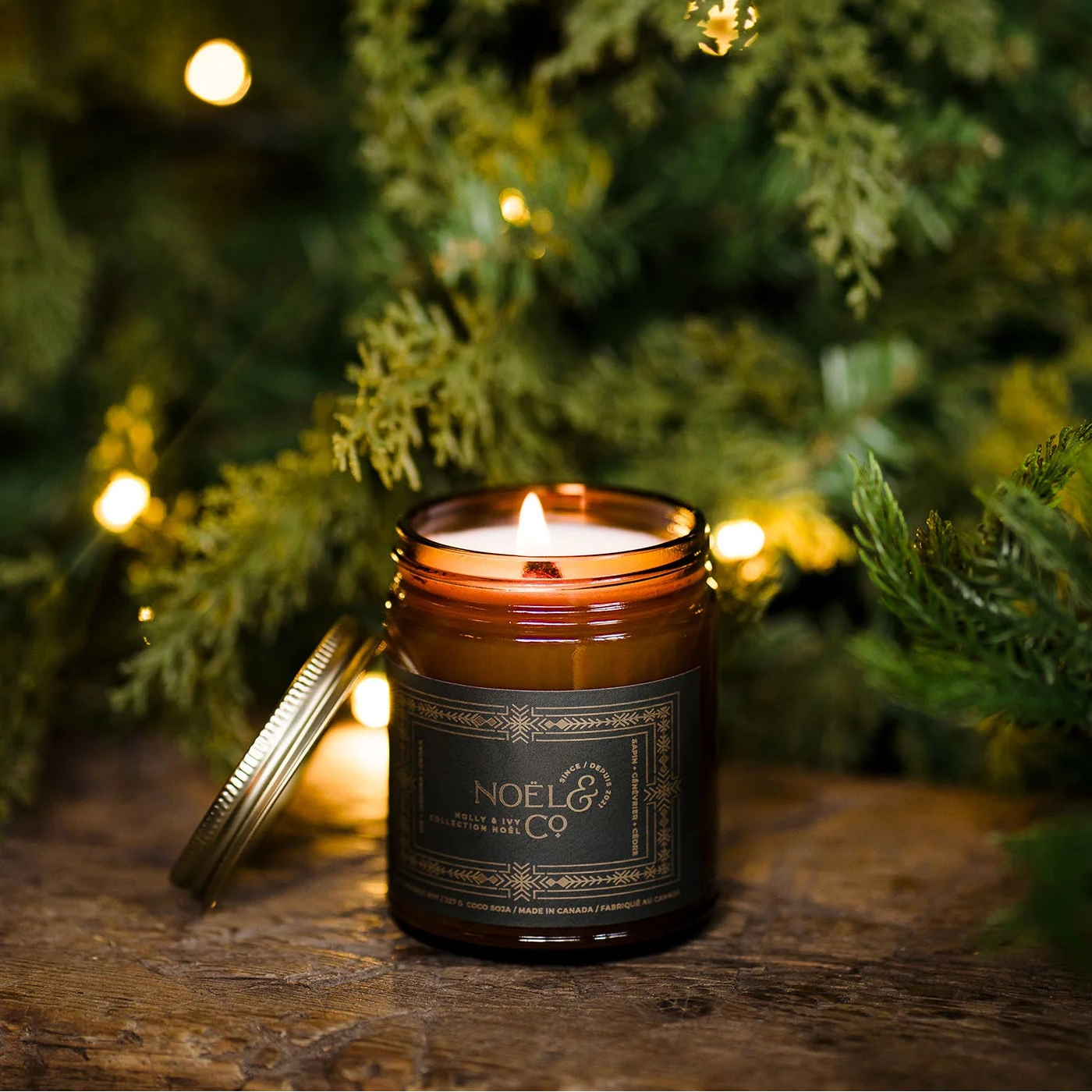 Holly & Ivy by Noel & Co.