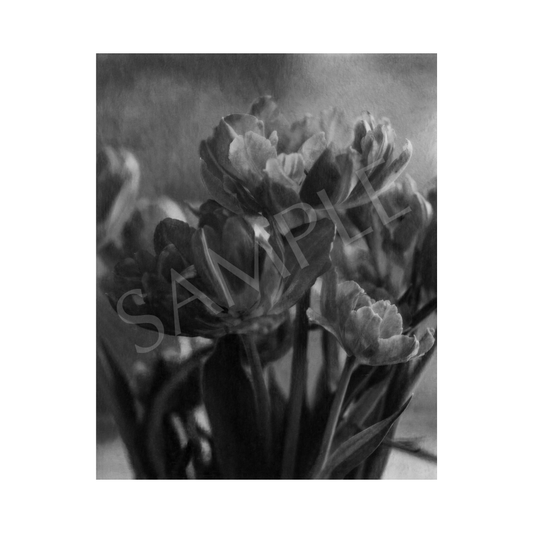 The Last Bloom Art Print—8x10