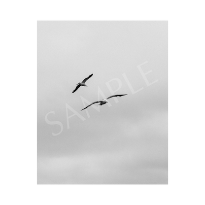 I'm a Bird, Your a Bird Art Print—8x10