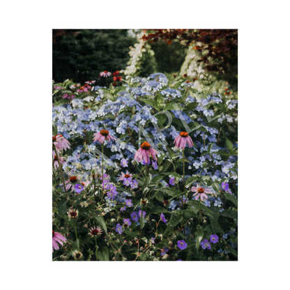 Gathering Colour Art Print—8x10