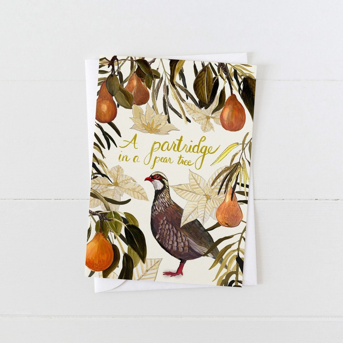 Christmas Cards by Briana Corr Scott