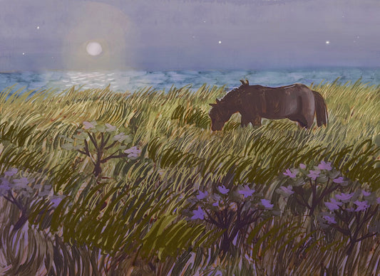 Sable Island Horse at Midnight