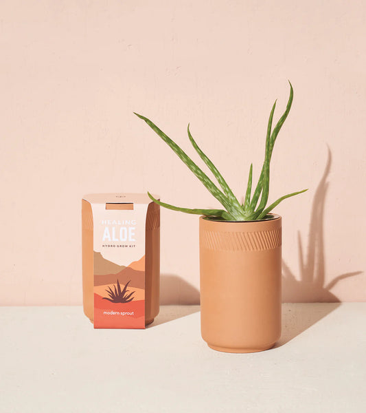 Aloe Terracotta Grow Kit