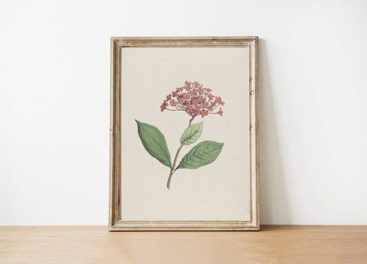Floral Art Print