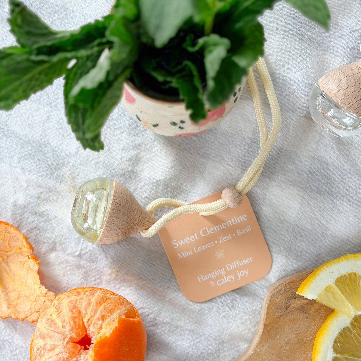 Sweet Clementine  Hanging Car Diffuser