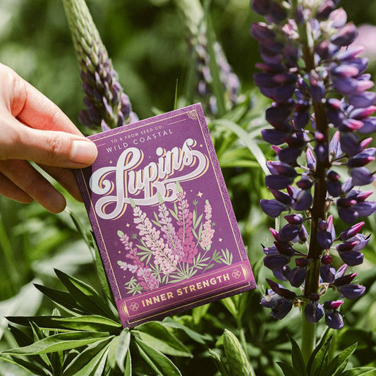 Wild Coastal Lupin Seed Packet – Inner Strength
