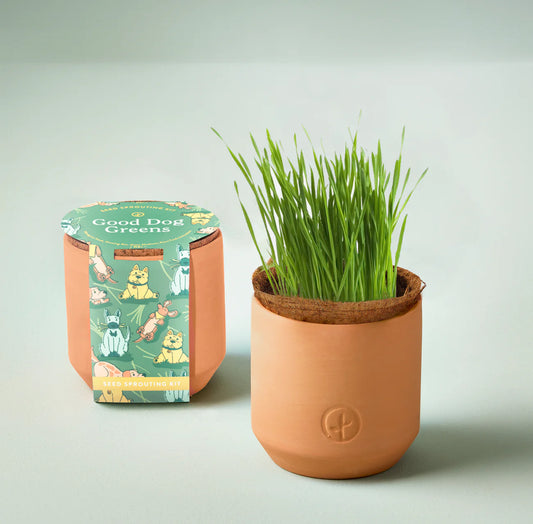 Tiny Terracota Grow Kits—Greens for Pets