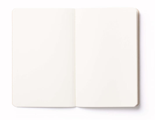 Princess and The Frog - Notebook